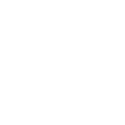 Roll Wed Night